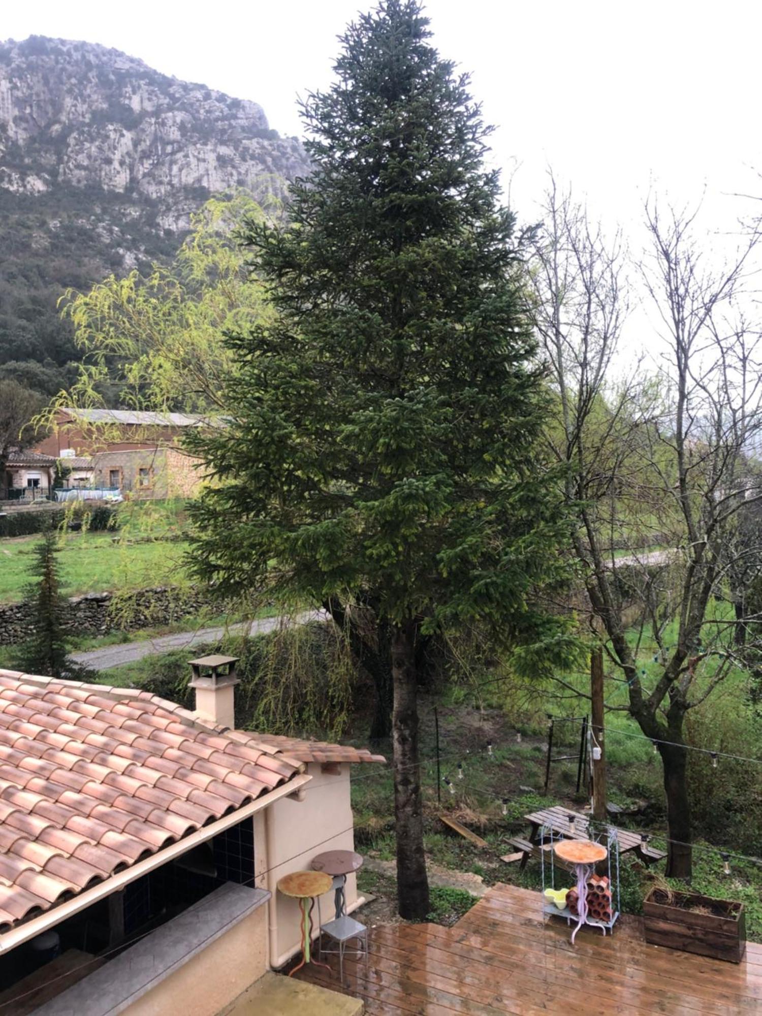Auberge De La Vallee Saint-Jean-de-Bueges Bagian luar foto